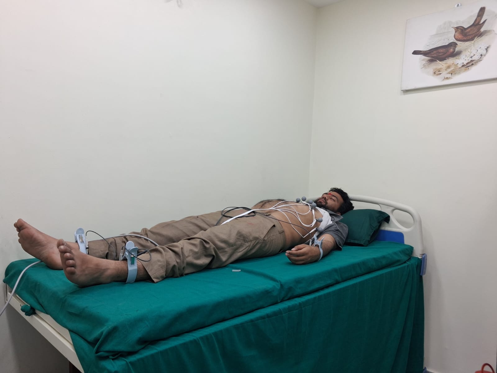 Endocrinology & Diabetes