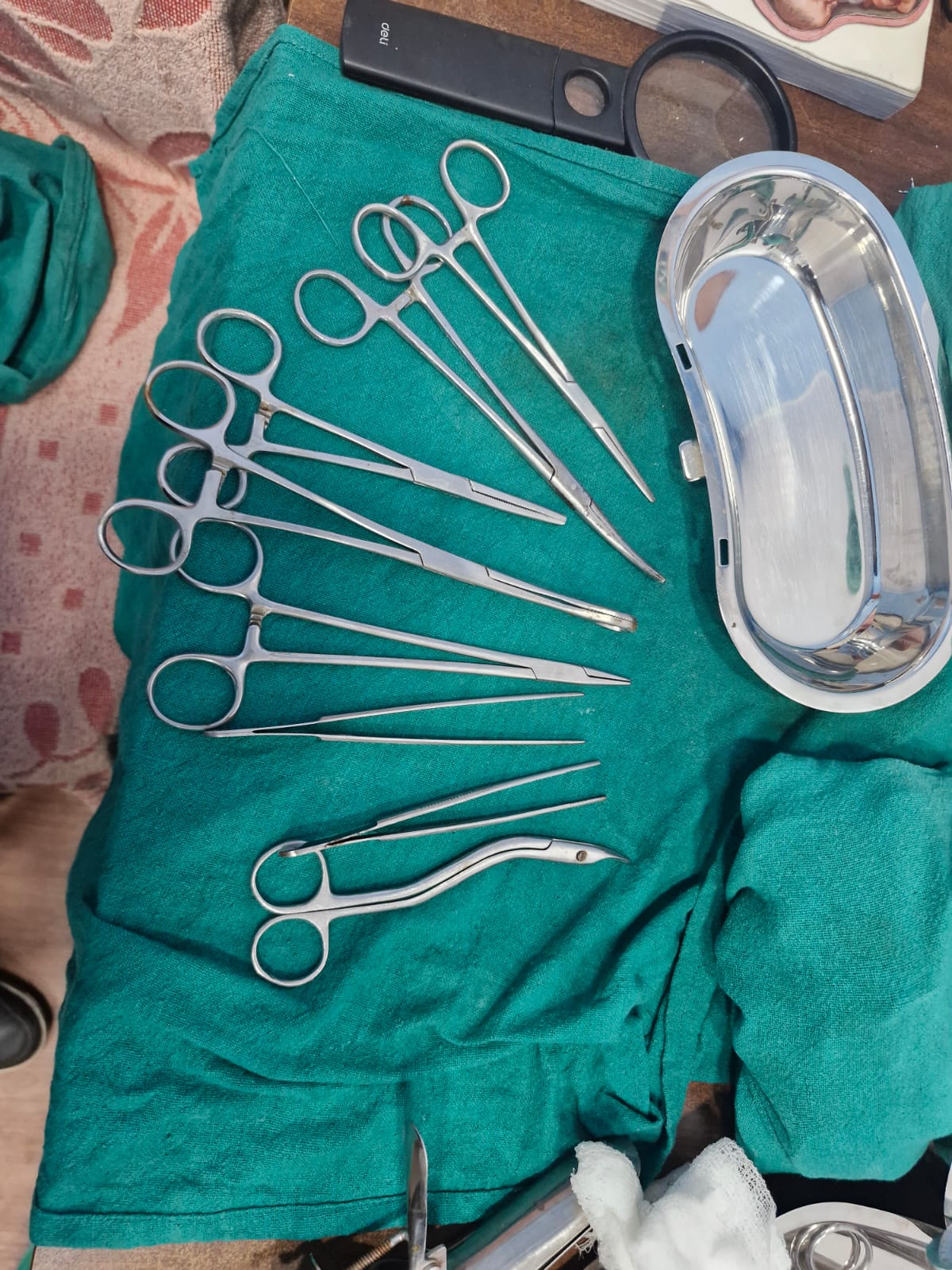 Gynecology & Obstetrics